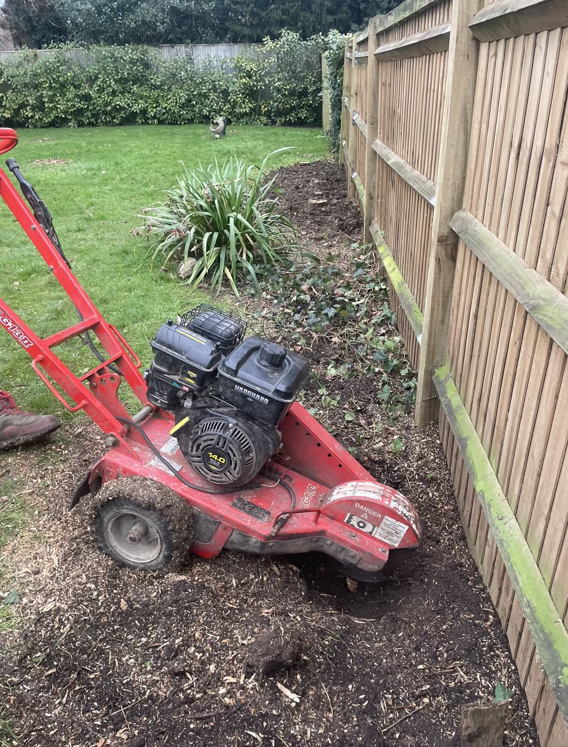 SD Tree Care - Stump Removal by SD Tree Care Horsham SD Tree Care professional tree surgery work