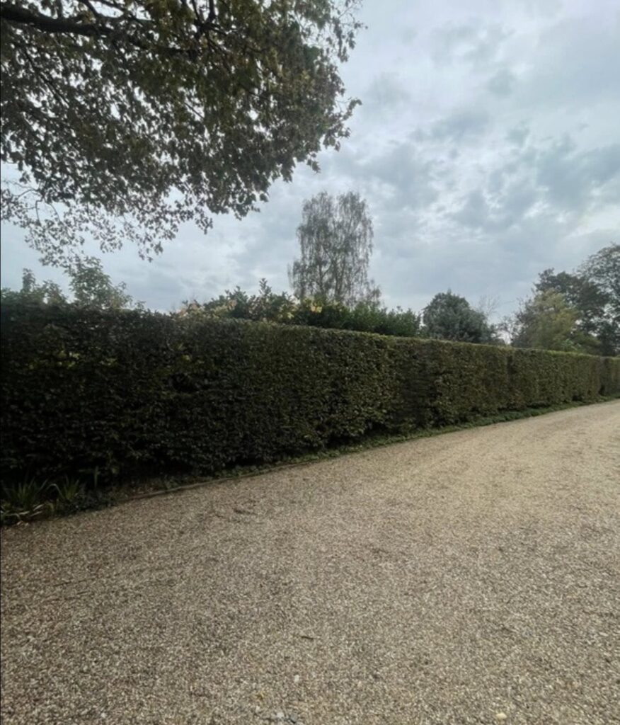 Tree surgeon in Haywards Heath by SD Tree Care