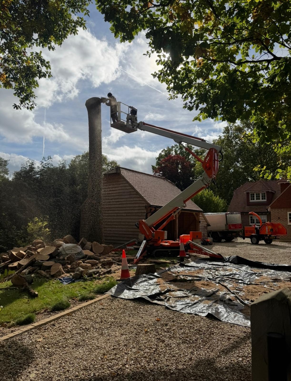 SD Tree Care - Tree Surgery 2 Tree Surgery in Dorking - genuine SD Tree Care tree surgery